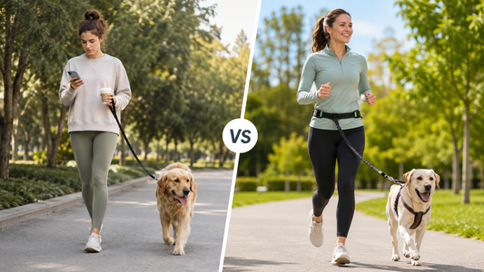 Hands-Free Leash vs Traditional Leash: Which Is Better?