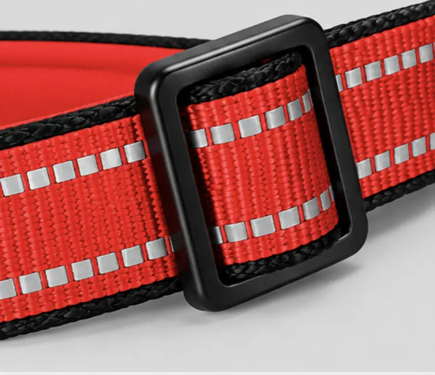 A close-up of a red and black reflective web belt with a black metal buckle, showing silver reflective strips woven into the strap.