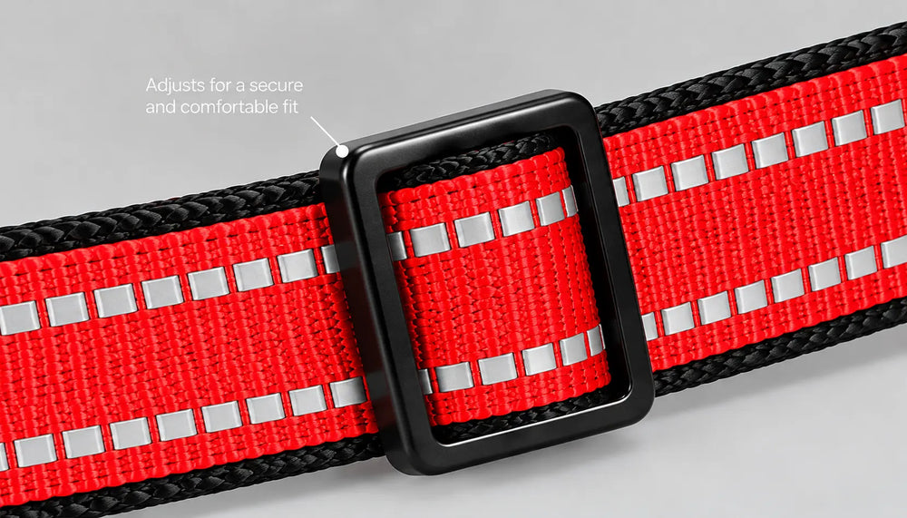 Close-up of a red and black adjustable harness belt with reflective silver squares and a black buckle, with a text overlay explaining the adjustment.