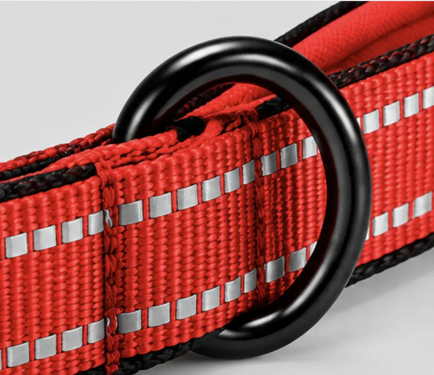 Close-up of a red reflective web belt with silver reflective squares and a black metal D-ring buckle.