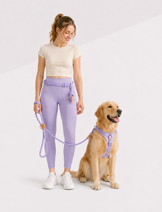 LuxryPaw Lilac Dream Walk Kit