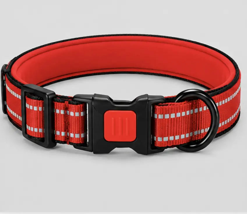 A red dog collar with reflective silver stripes and a black plastic buckle, shown on a light gray background.