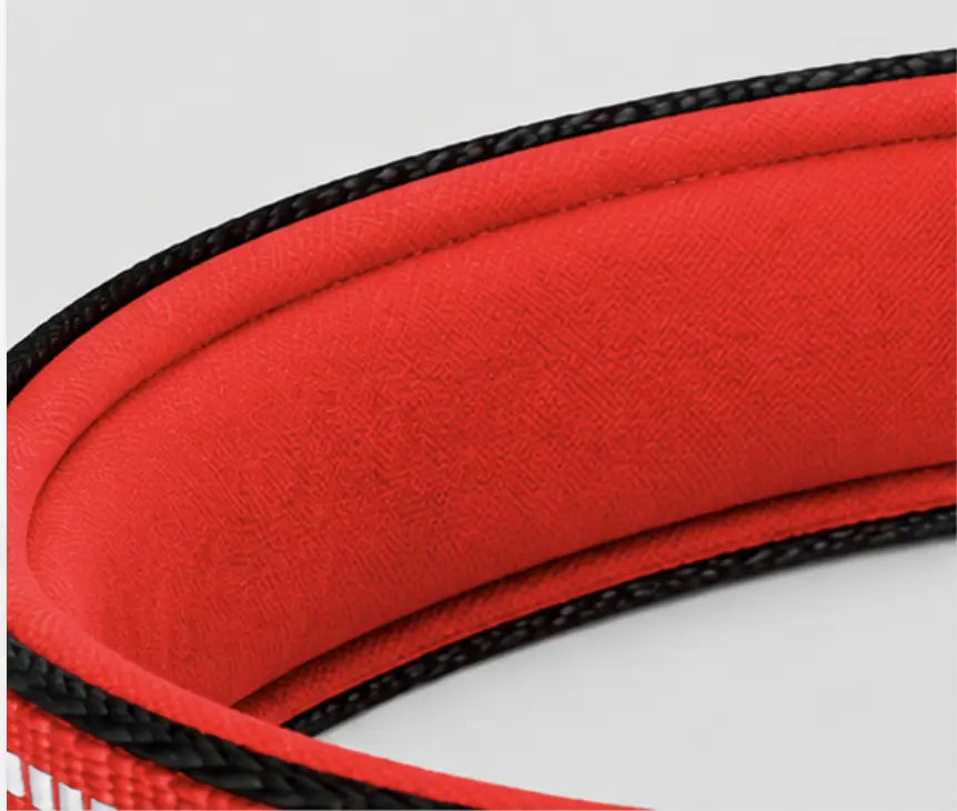 Close-up of a red padded collar with black braided trim on a light gray background.