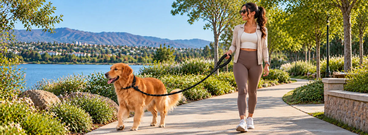 LuxryPaw Reflective Rope Dog Leash