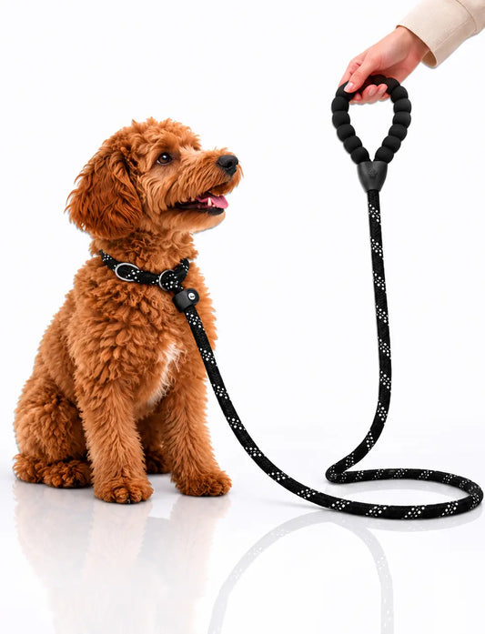 LuxryPaw Reflective Rope Dog Leash
