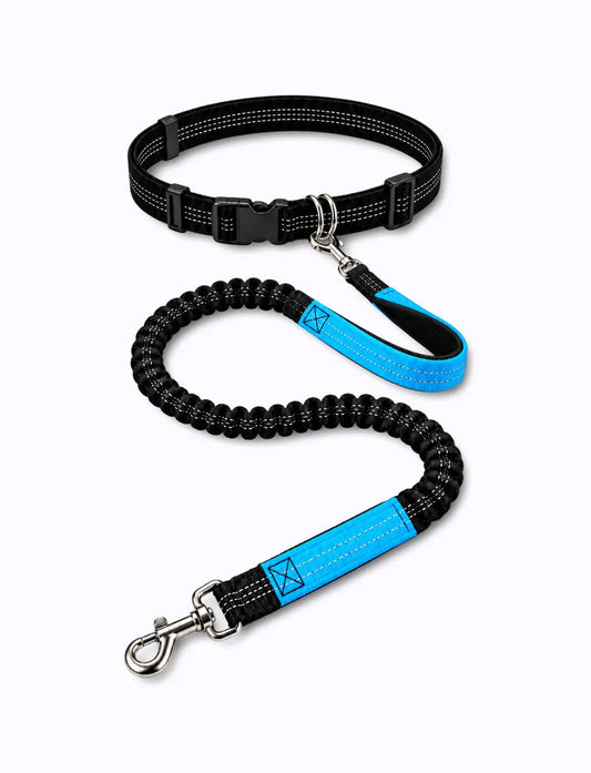 blue_bungee_leash