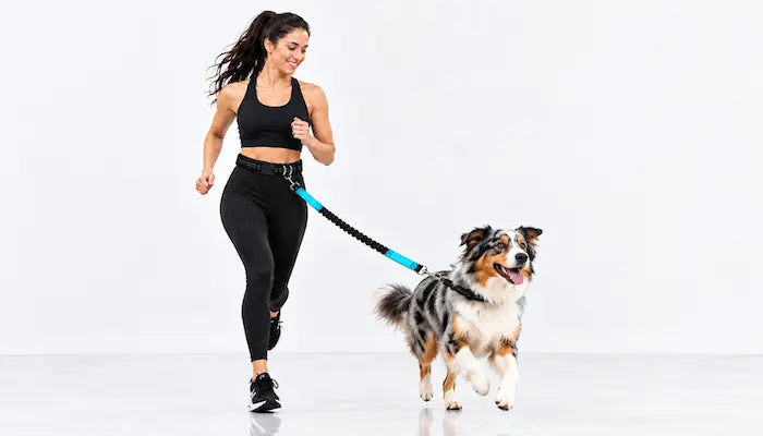 A woman jogging in a black sports bra and leggings while running a dog on a bright blue leash in a white studio setting. Demonstrating the LuxryPaw  blue bungee leash usage