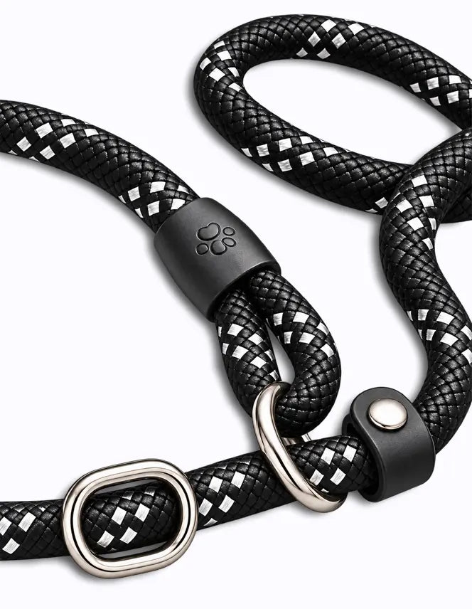 LuxryPaw Reflective Rope Dog Leash
