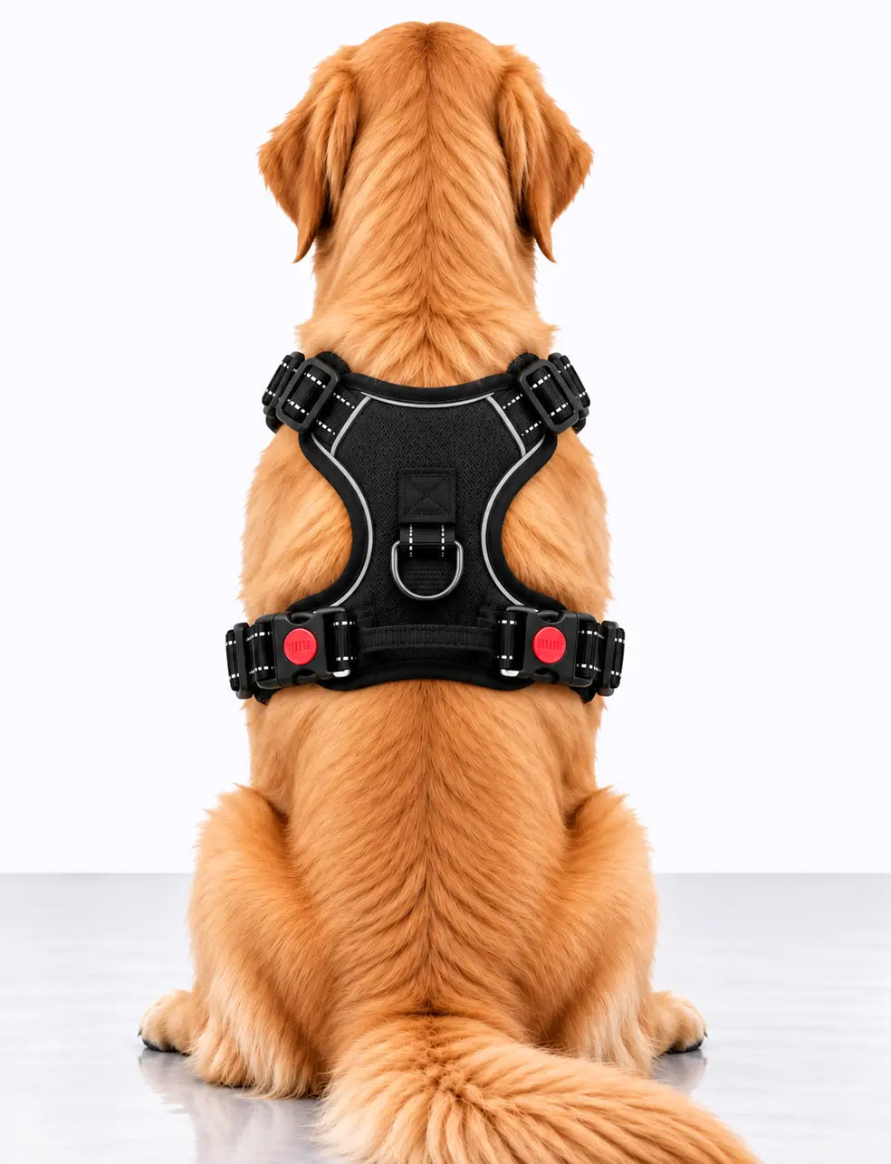 black LuxryPaw no-pull dog harness with reflective trim, back handle, and locking buckles on a golden retriever
