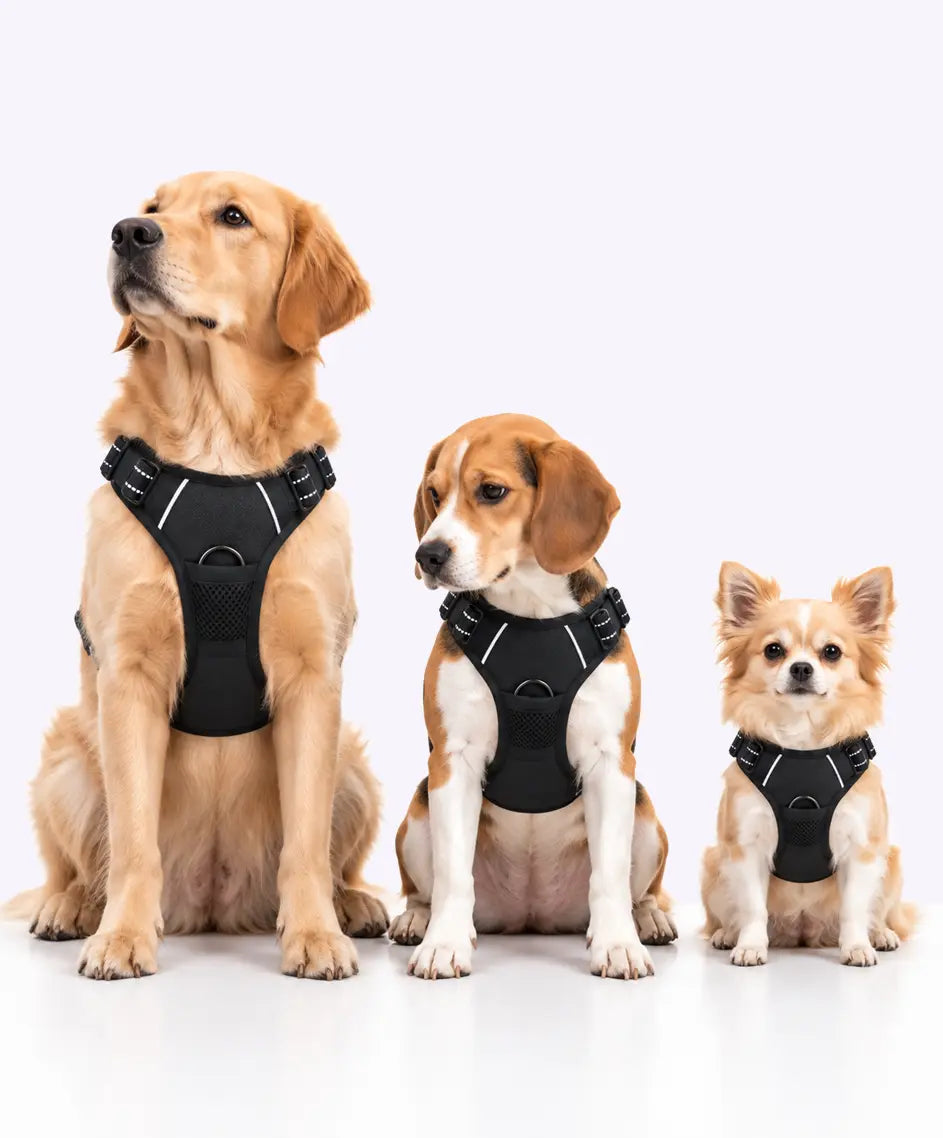 black LuxryPaw heavy-duty no-pull dog harness and vest on three dogs of different sizes with reflective details