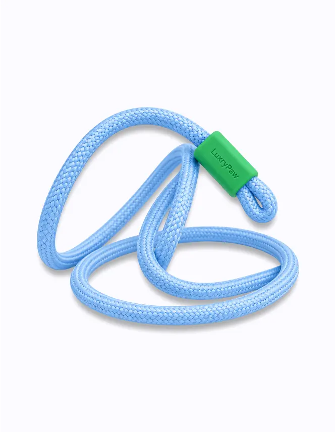 blue LuxryPaw light blue braided nylon rope dog leash with a green cushioned handle for comfortable walking.