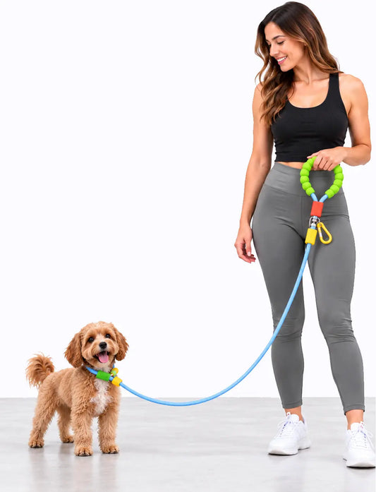 blue LuxryPaw colorful braided rope dog leash with a soft green foam handle and blue nylon rope held by a woman walking dog