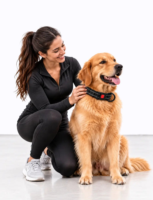 black LuxryPaw breathable reflective dog collar on a golden retriever with a woman in a studio setting