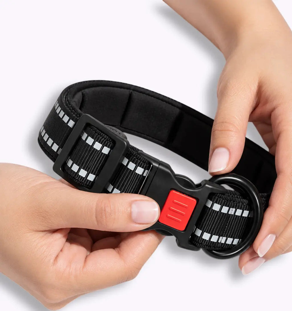 black LuxryPaw breathable reflective dog collar with a secure locking buckle and soft padding held in hands