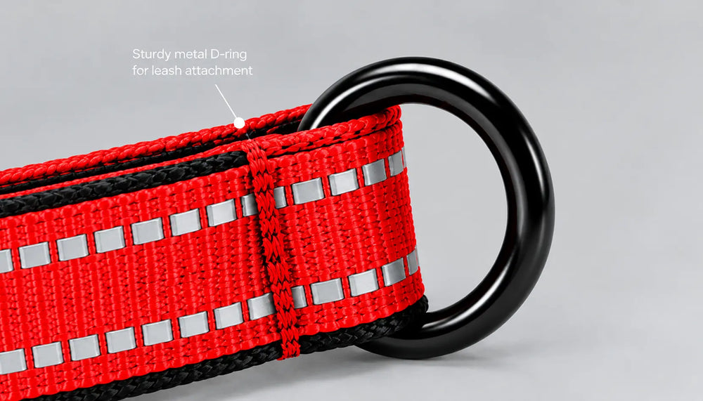 Close-up of a red reflective webbing strap with black braided edges and a black metal D-ring, shown on a light gray background with a small text callout pointing to the ring.